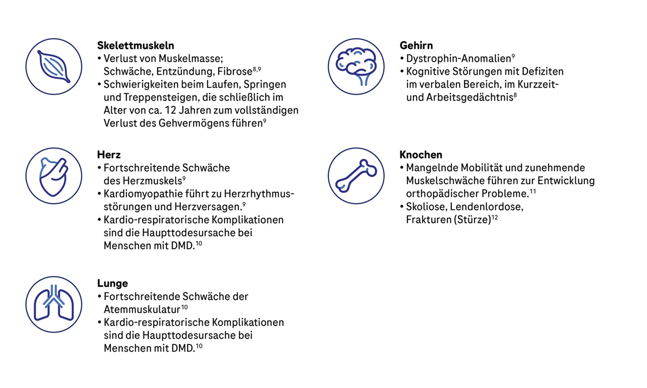 Übersicht über die Folgen von Dystrophinmangel auf Skelettmuskeln, Herz, Lunge, Gehirn und Knochen.