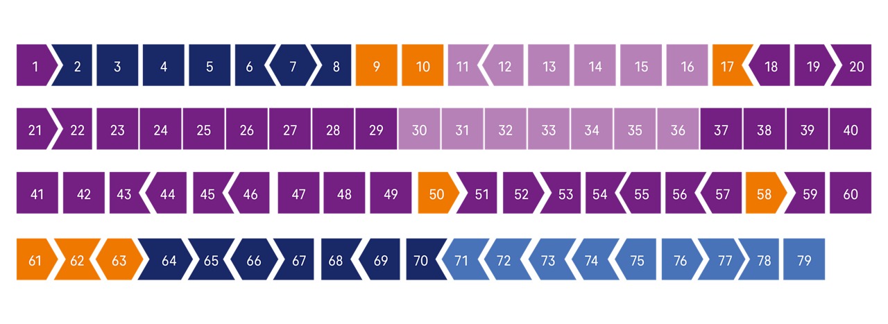 Darstellung der 79 Exons, die für das Dystrophin-Protein codieren mit farblicher Kennzeichnung unterschiedlicher Bereiche.