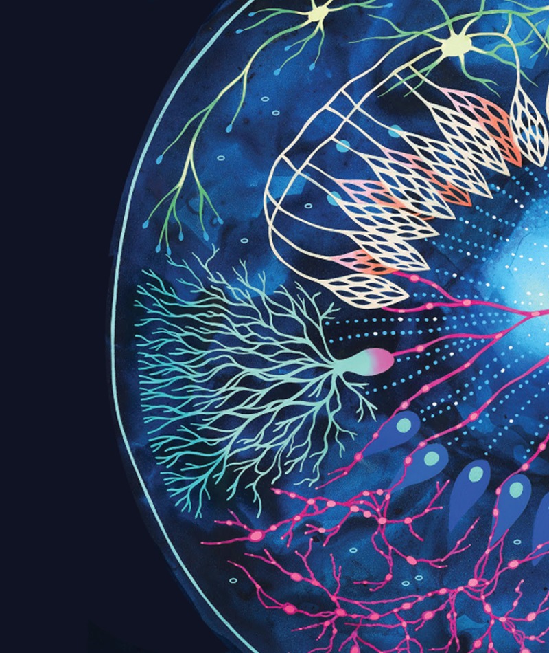 Key Visual Hot Topics @ ECTRIMS 2025