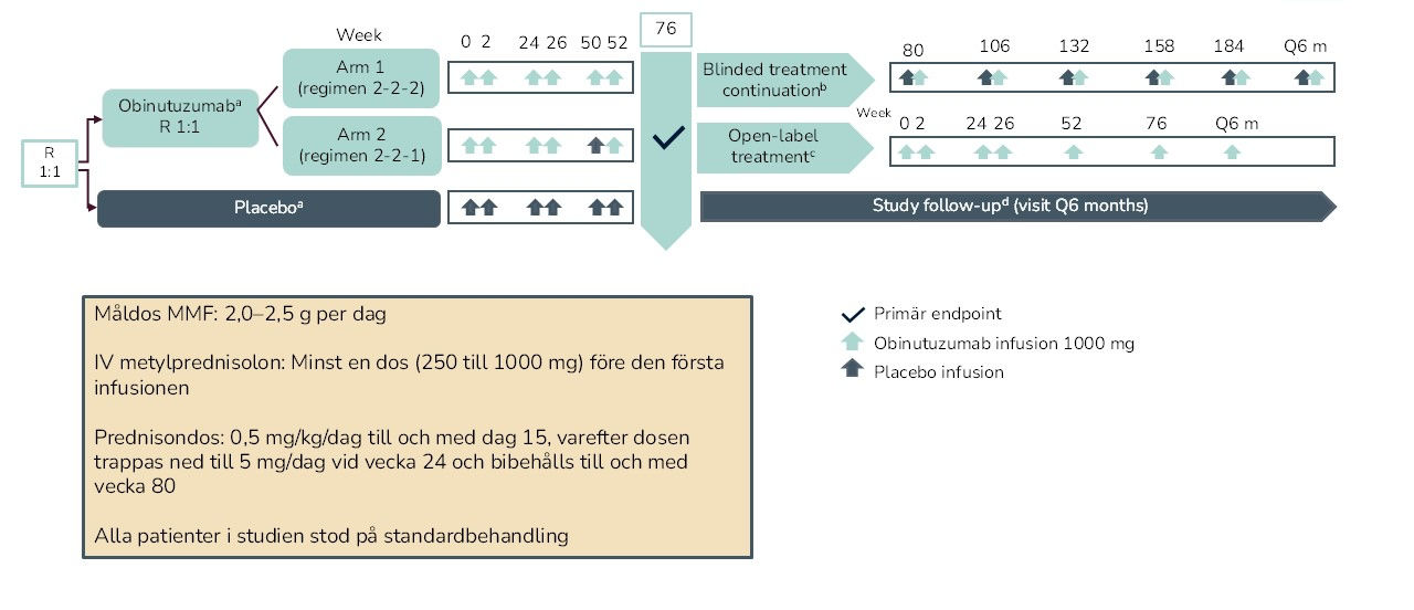 Bild över studiedesign