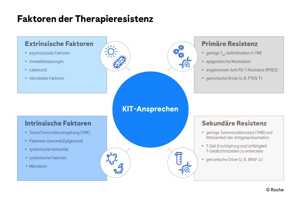 Faktoren der Terapieresistenz