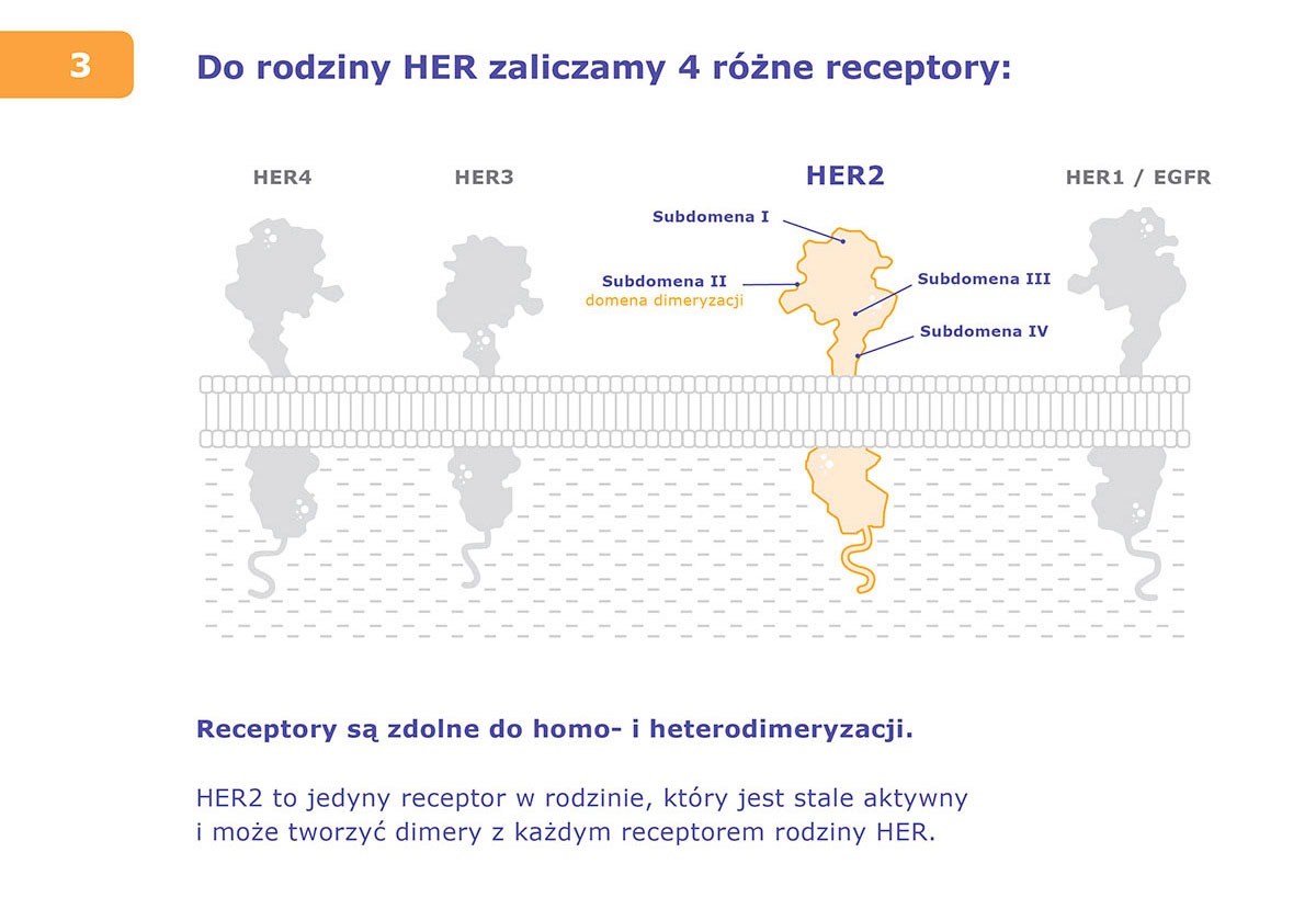 Herceptin infografikaai