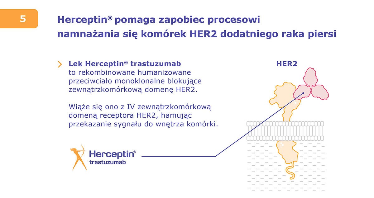 Herceptin infografikaai