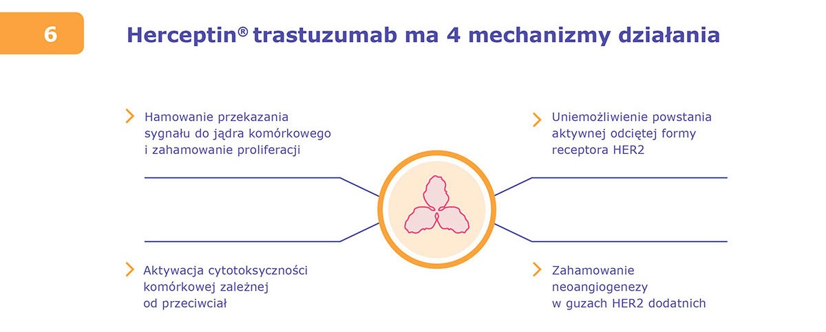 Herceptin infografikaai