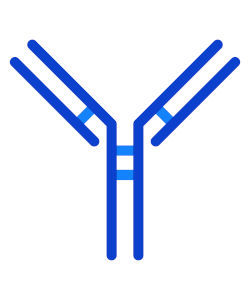 Download Interview mit Prof. Wiendl: IL-6 als Schlüsselzytokin bei NMOSD