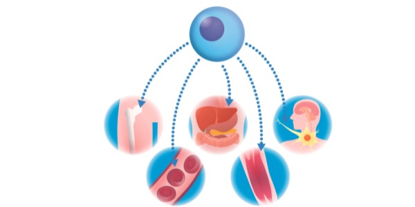 Illustration de la thérapie cellulaire en ophtalmologie