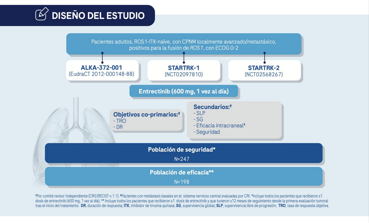 esmo 2024 diseño del estudio