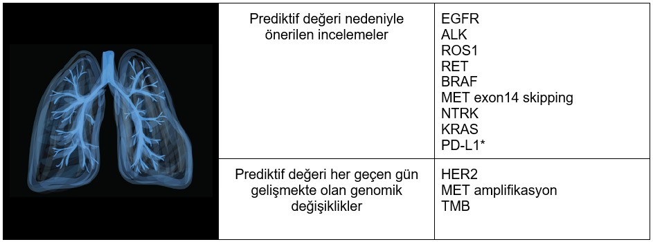 Khdak'de-Onkojenik-Mutasyonlar-image