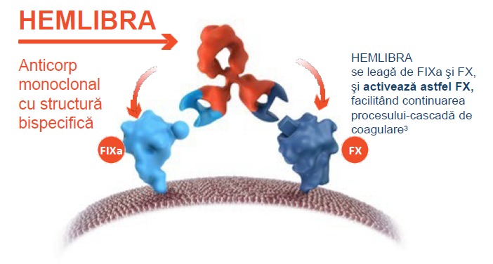 Hemlibra_2