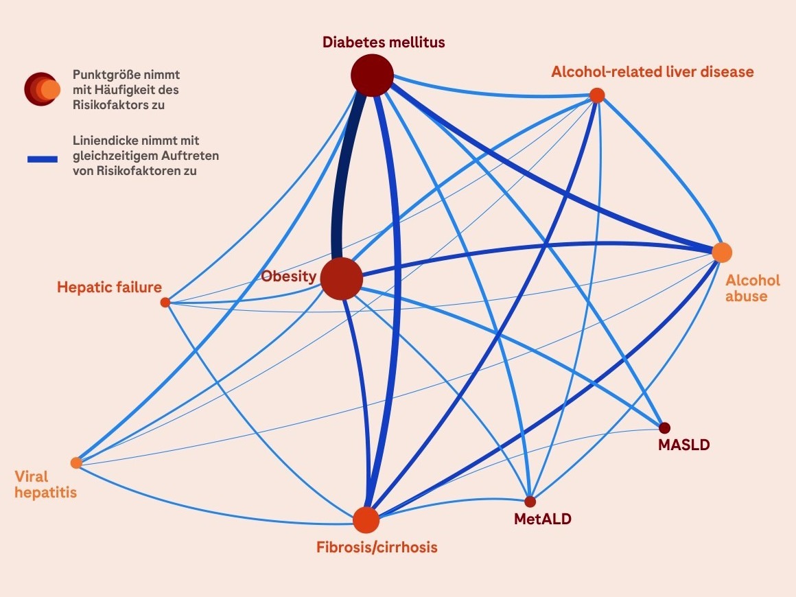 Netzwerk-Analyse Risikofaktoren beim HCC