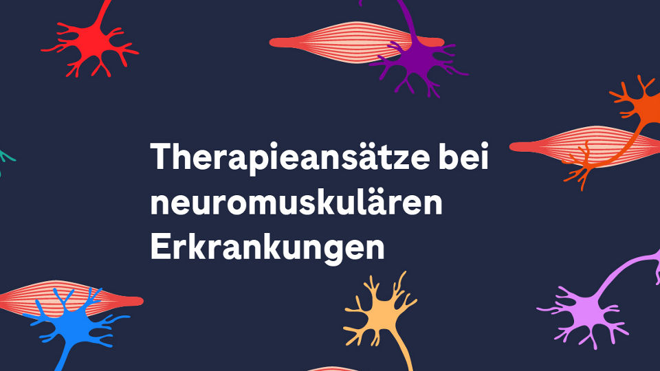 Therapieansätze bei NME