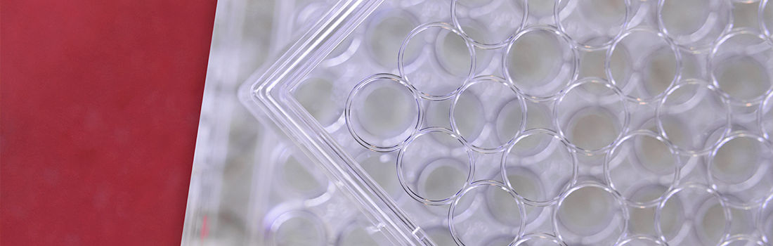 fármacos fotosensibles lucha contra cáncer