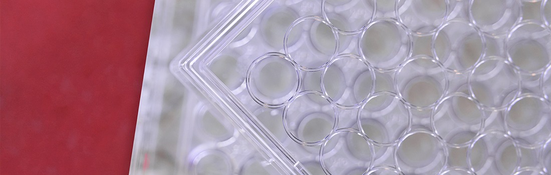 fármacos fotosensibles lucha contra cáncer