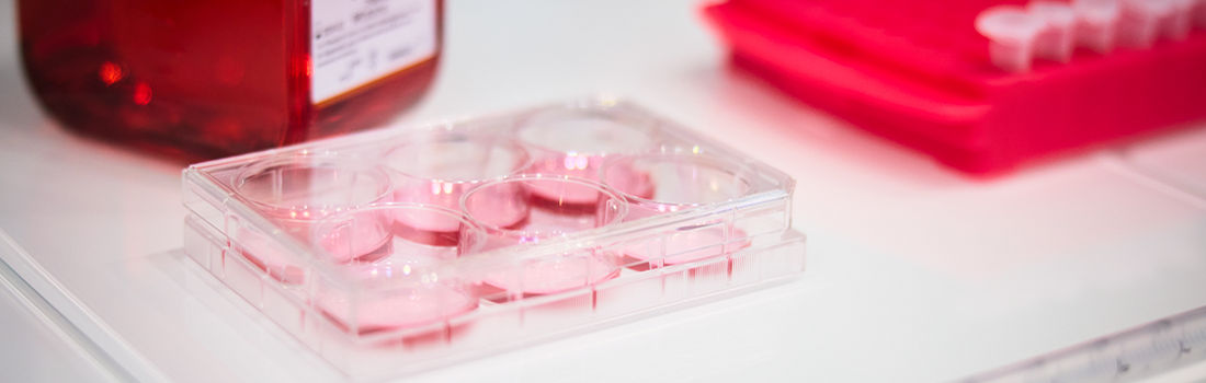 máquina conservación y reparación de órganos