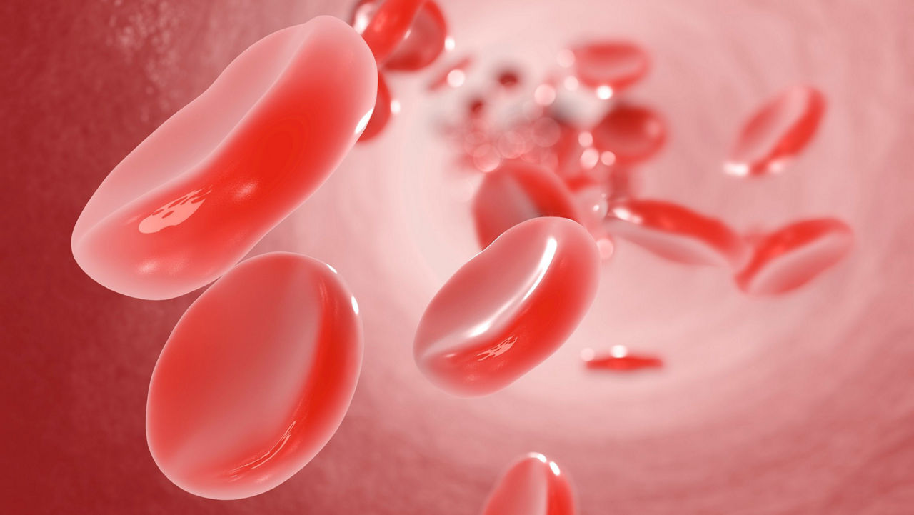 Red blood cells illustration