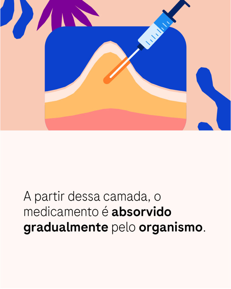A partir dessa camada, o medicamento é absorvido gradualmente pelo organismo.