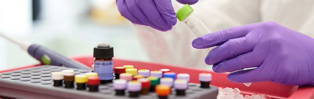 reconexión cerebro médula espinal movilidad