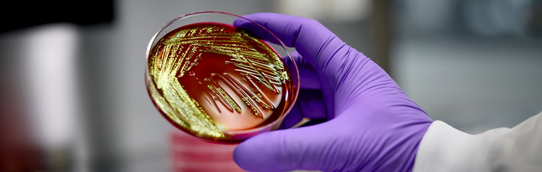 tecnología lucha contra el cáncer