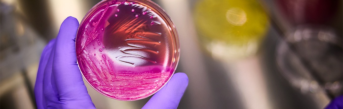 tecnología ciclos fertilidad femenina