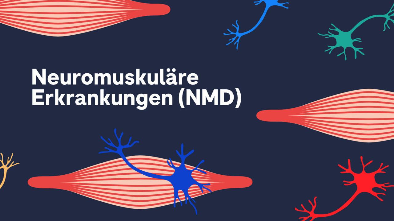 NMD Boutiquepage