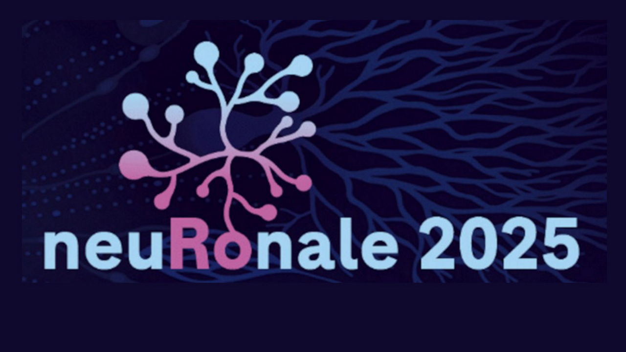 Teaser neuRonale 2025