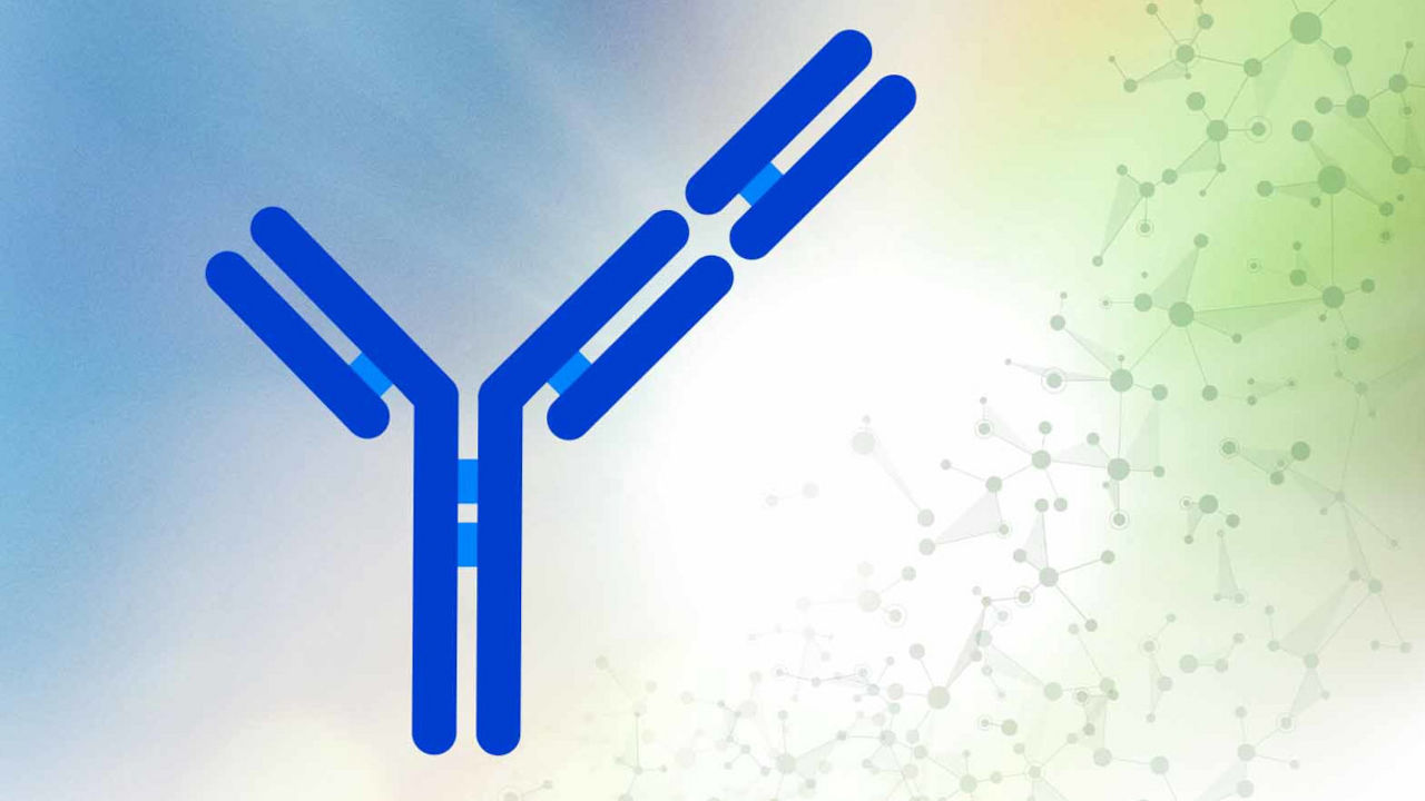 Wendepunkt in der r/r DLBCL-Therapie