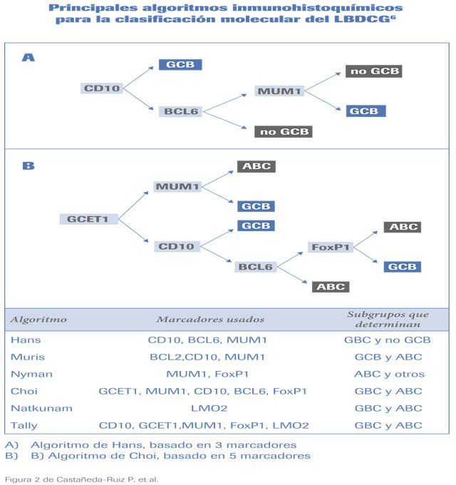 tipos de pacientes