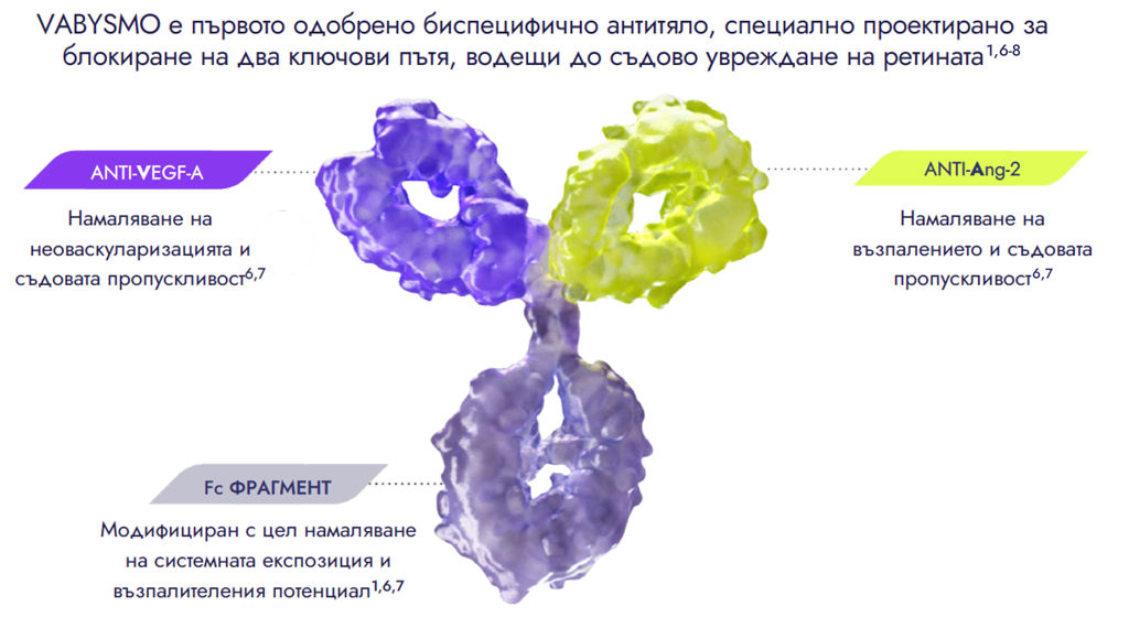 Vabysmo bispecific antibody