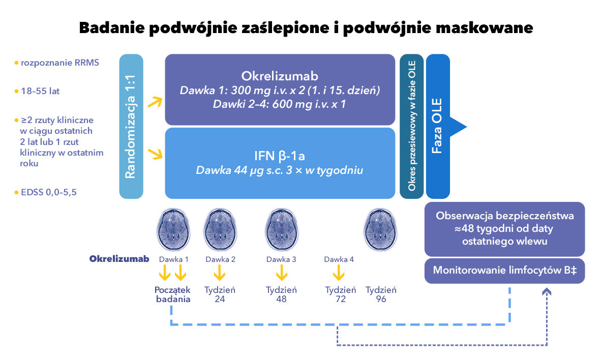 Plan badania podwójnie zaślepionego i podwójnie maskowanego używany w badaniach OPERA 1 i OPERA 2
