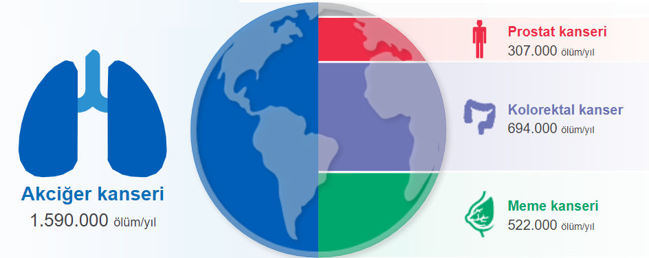 akciger-kanseri-nedir_image