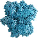 Oftalmologie_angio1