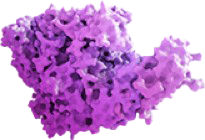 Oftalmologie_angio2
