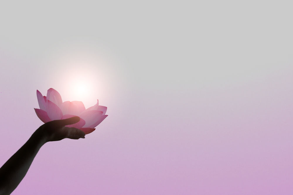 Roche borstkanker producten