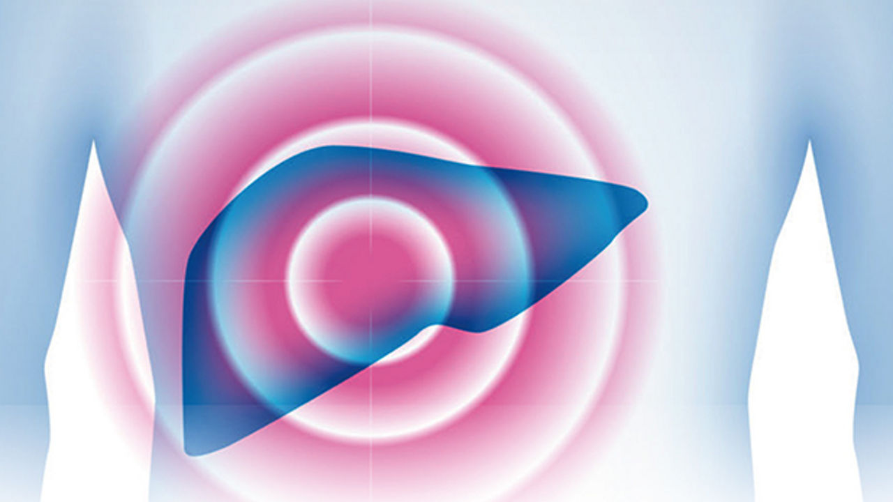 Schematische Darstellung mit Fokus auf eine Leber innerhalb eines Torsos