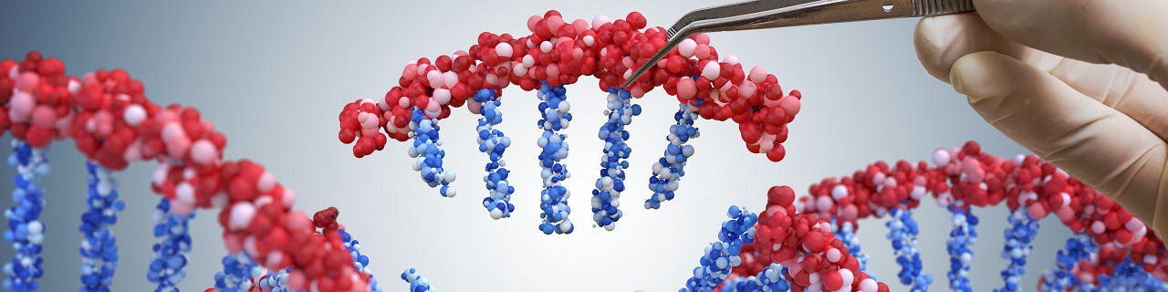 Genetic engineering, GMO and Gene manipulation concept. Hand is inserting sequence of DNA.  3D illustration of DNA.