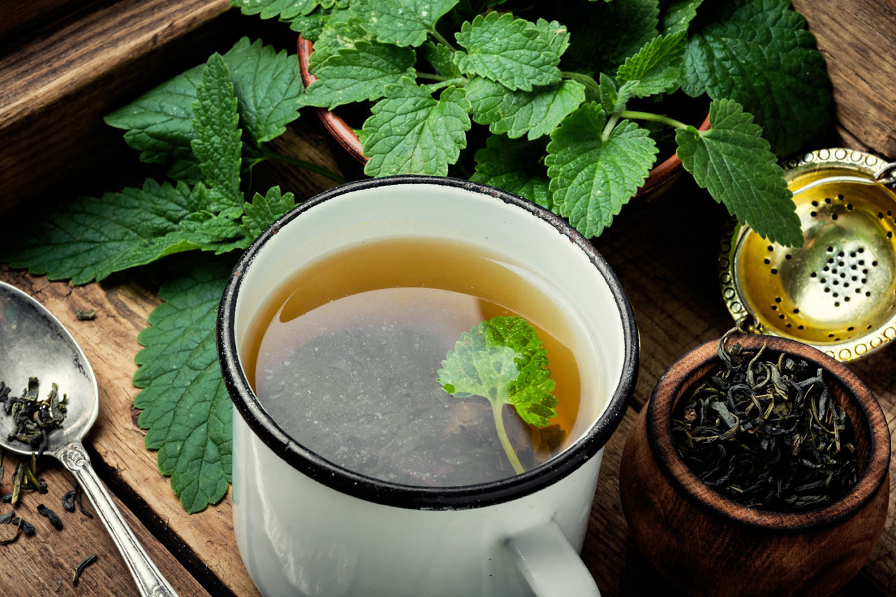 Fresh natural green melissa herbal tea in cup.eHealthy herbal tea
