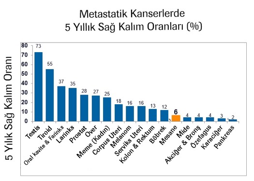 Mesane Kanseri_Image 5
