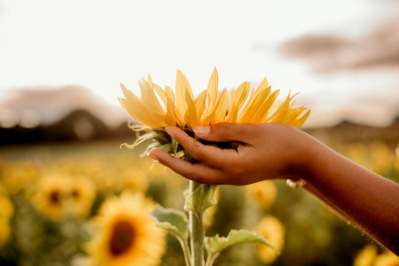 image d'illustration pour la campagne: Réflexions sur l'expérience des patients et des professionnels de la santé