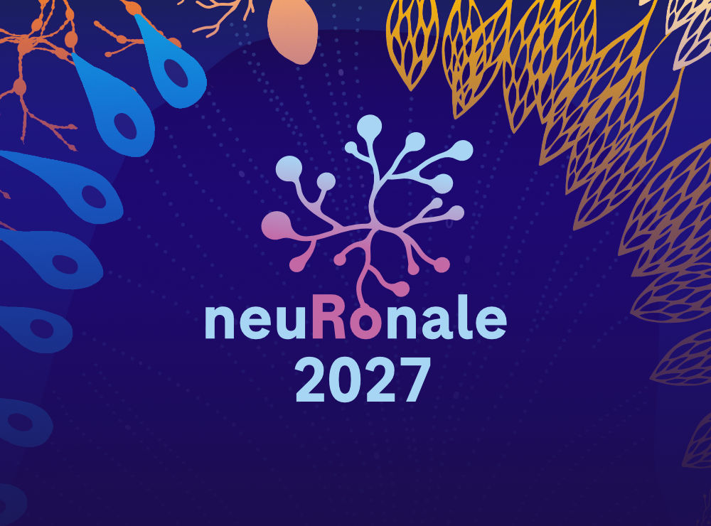 neuroscience-contentfragment-neuronale-2027