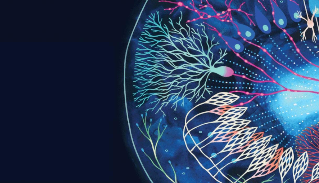 Key Visual Nachlese DGN 2025