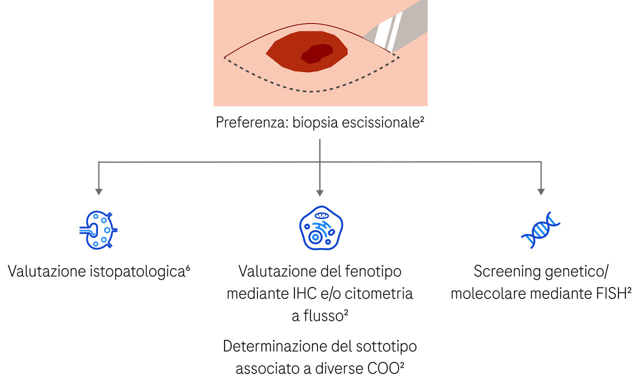 Preferenza biopsia escissionale