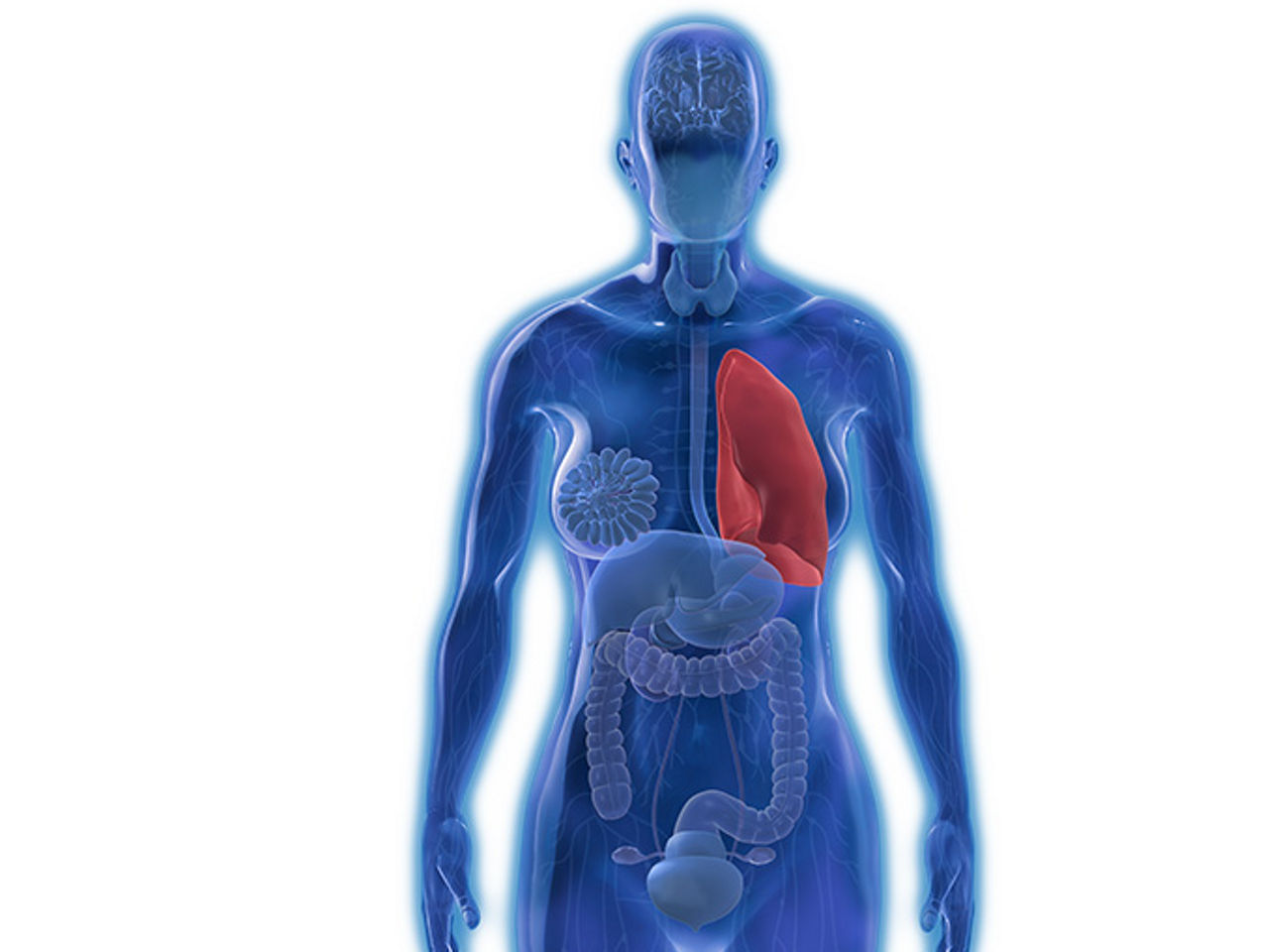 Medical Science Portal - Roche Pipeline