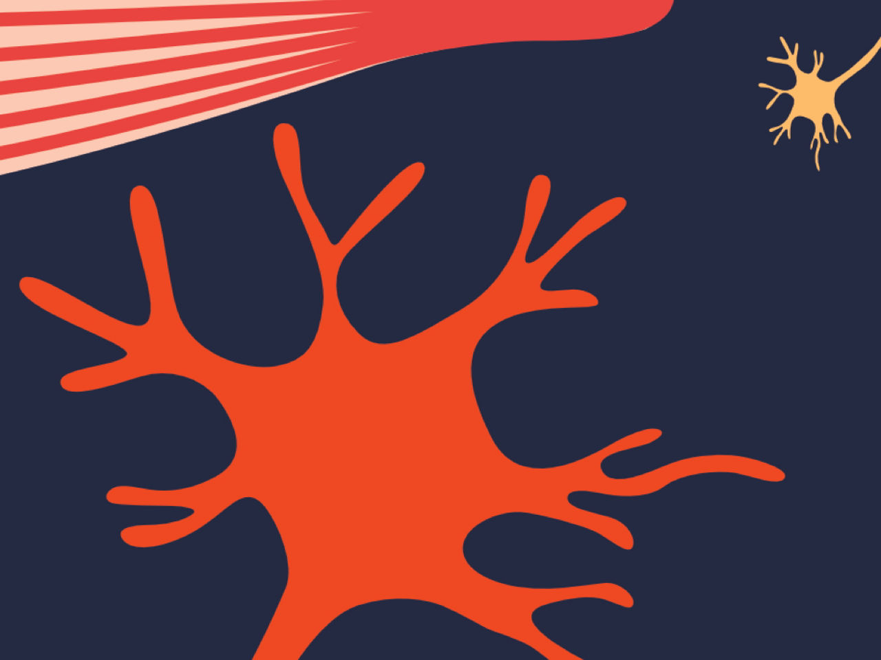 Neuromuskuläre Erkrankungen (Neuro Muscular Diseases)