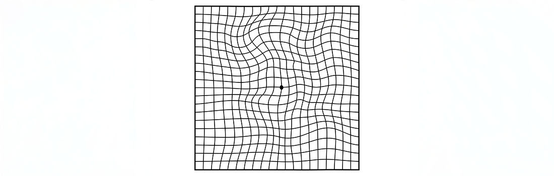test rejilla de amsler dmae