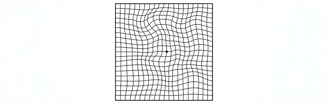 test rejilla de amsler dmae