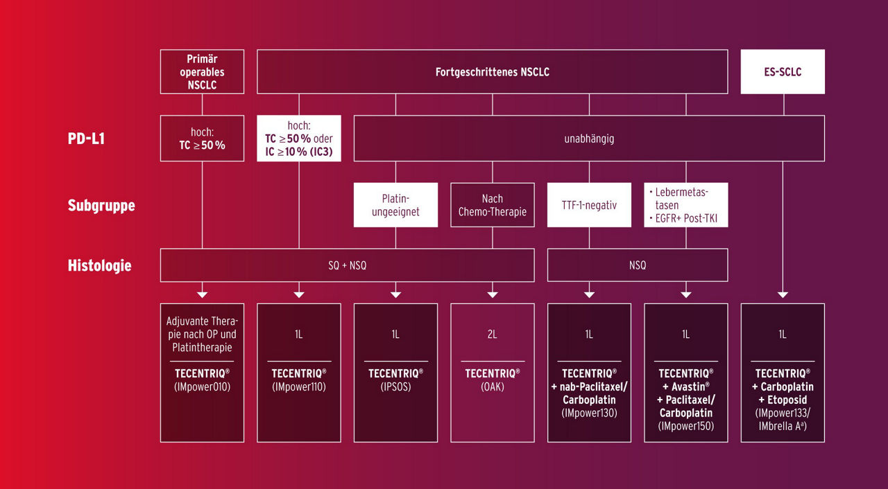 Infografik zeigt Gesamtüberleben bei Platin-ungeeigneten Patient:innen vergelichend zwischen Tecentriq (Atezolizumab) und einer Mono-Chemotherapie 