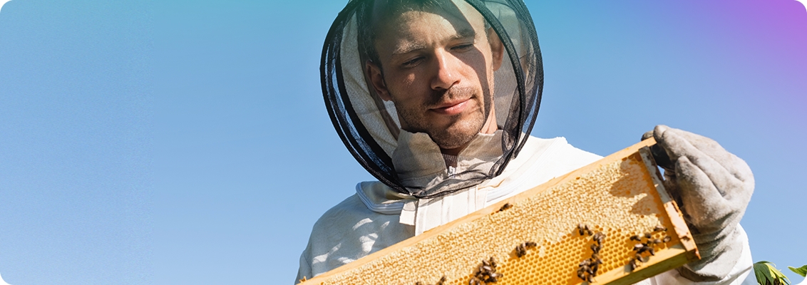 How our golden touch helped Hilltop Honey