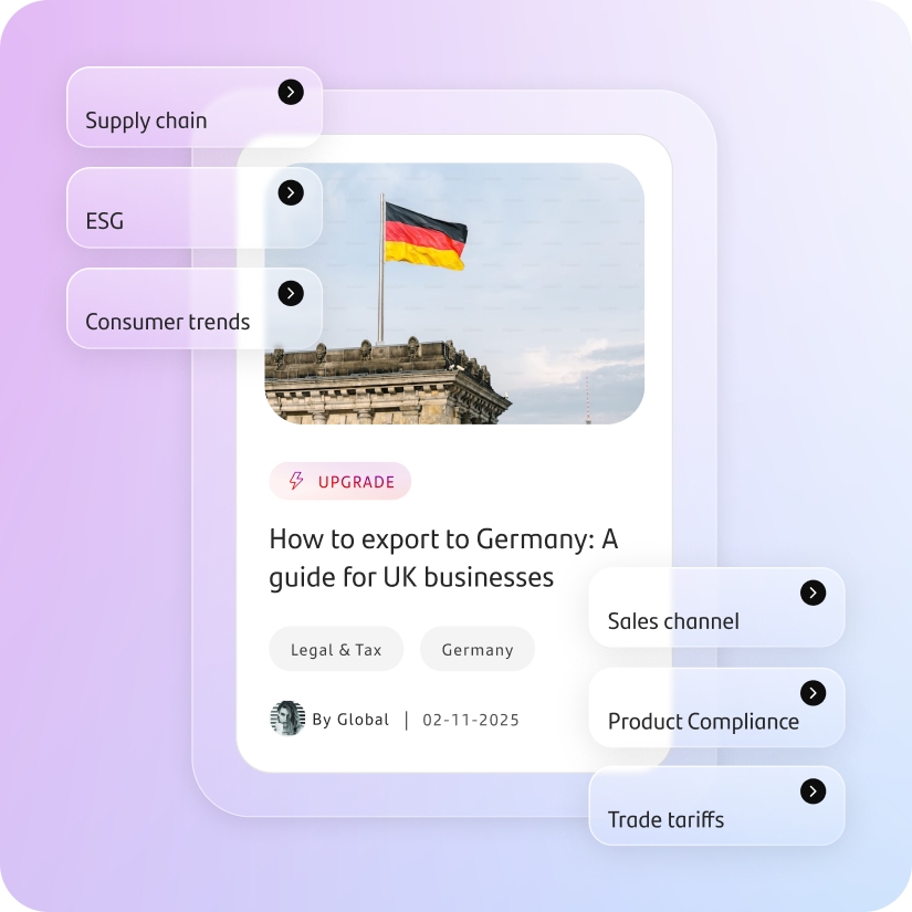 Insights that ignite action