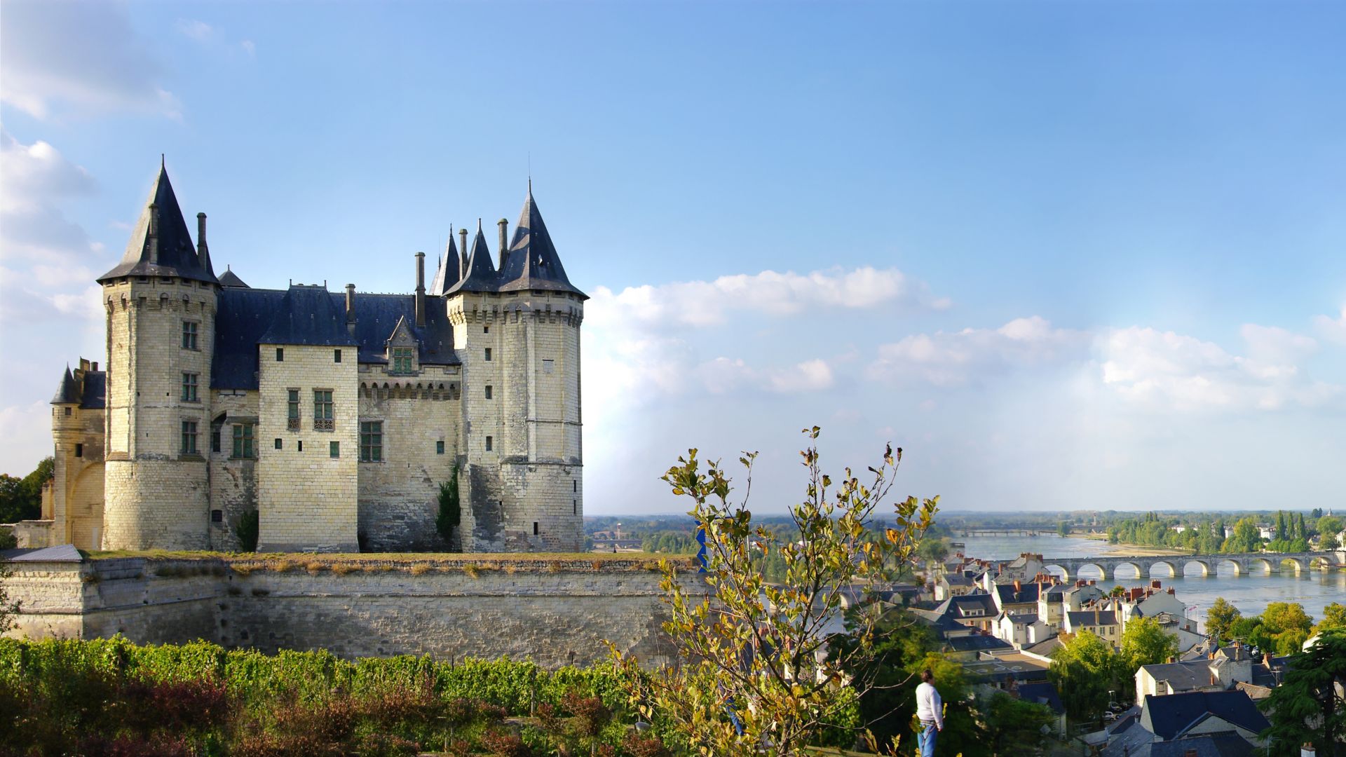 Saumur castle on a sunny day  in the Loire Valley