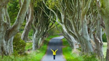 The Dark Hedges. Ballymoney Countryside. Antrim County, Northern Ireland, Europe